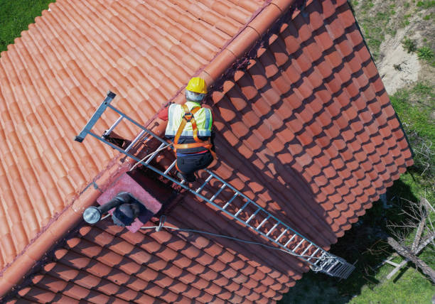 Best Roof Ventilation Installation  in Poplar Cotton Center, CA